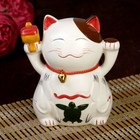 Сувенир кот копилка керамика "Манэки-нэко" 14х13х10 МИКС - Фото 9