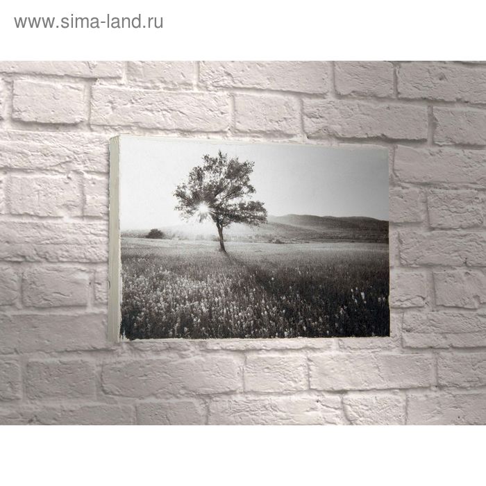 Картина - Черно-белое изображение дерева, 14.5х22см - Фото 1
