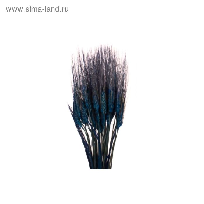 Трава сухоцвет, пшеница, синяя 100 г - Фото 1