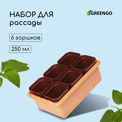 Набор для рассады: стаканы по 250 мл (6 шт.), ящик 25×16 см, МИКС