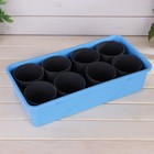 Набор для рассады: стаканы по 400 мл (8 шт.), поддон 40 × 20 см, чёрно-голубой - Фото 1