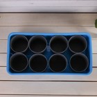 Набор для рассады: стаканы по 400 мл (8 шт.), поддон 40 × 20 см, чёрно-голубой - Фото 2