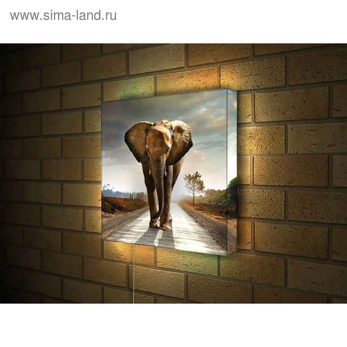 Интерьерный светильник "Слон" B004EZ2525 - Фото 1