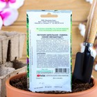 Семена цветов Петуния Ампельная лавина синий звездопад F1, О, 10шт - Фото 2