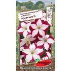 Семена цветов Петуния Ампельная лавина Арлекино F1, О, 10шт - Фото 3