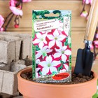 Семена цветов Петуния Ампельная лавина Арлекино F1, О, 10шт - Фото 1