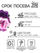 Семена цветов Петуния  Махровая Каскадная Блю&Орхид F1, смесь, О, 8 шт - Фото 2