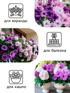 Семена цветов Петуния  Махровая Каскадная Блю&Орхид F1, смесь, О, 8 шт - Фото 3