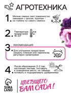 Семена цветов Петуния  Махровая Каскадная Блю&Орхид F1, смесь, О, 8 шт - Фото 4