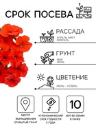 Семена цветов Петуния суперкаскадная «Красная шапочка» F1, 10 шт. - Фото 2