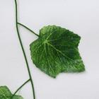 Лиана "Лист винограда" 2,3 м - Фото 2