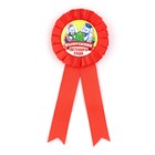 Значок - орден на выпускной «Выпускник детского сада», d=6.7 см - Фото 3