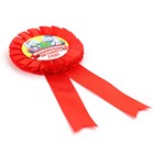 Значок - орден на выпускной «Выпускник детского сада», d=6.7 см - Фото 4