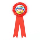 Значок - орден «Выпускник начальной школы», d=6.7 см - Фото 2