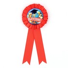 Значок - орден на выпускной «Выпускник», d=6.7 см - Фото 3