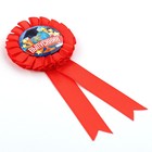 Значок - орден на выпускной «Выпускник», d=6.7 см - Фото 4