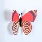 Магнит текстиль "Бабочка цвета вечерней зари" 6,5х7,5 см - Фото 3