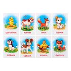 Развивающая игра с прищепками «Весёлые животные!» - Фото 5