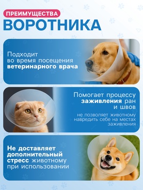 Ветеринарный воротник с креплением на ошейник, высота 12.5 см (без ошейника)