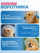Ветеринарный воротник с креплением на ошейник, ОШ 13-28.5 см, высота 15 см, без ошейника - Фото 2