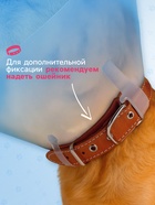 Ветеринарный воротник с креплением на ошейник, ОШ 13-28.5 см, высота 15 см, без ошейника - Фото 3