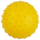 Мяч массажный, d=20 см, 50 г, цвета МИКС - фото 3450423