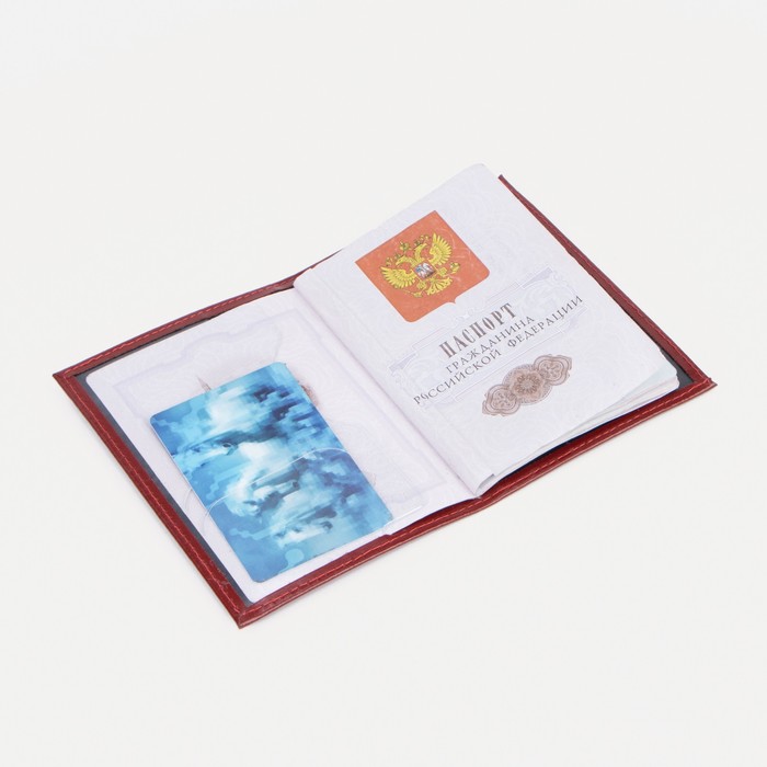 Обложка для паспорта, цвет красный - фото 1908307834