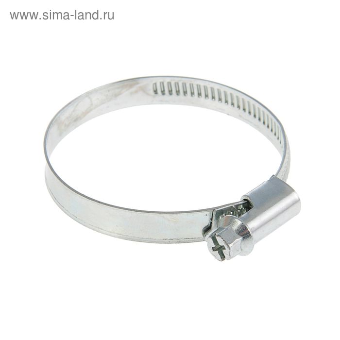 Хомут червячный, диаметр 40-60 мм, оцинкованный - Фото 1