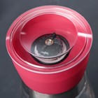 Мельница для специй «Модерн», 13×6,5 см, керамический механизм, цвет МИКС - Фото 2