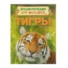 Энциклопедия для малышей «Тигры» - Фото 1