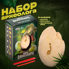 Набор археолога «Диплодок», серия «Окаменелое яйцо динозавра» - фото 8316041