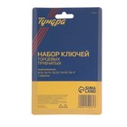Набор ключей торцевых трубчатых ТУНДРА, оцинкованные, 8 - 17 мм, вороток, 6 предметов - Фото 5