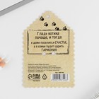 Открытка со значком «Оберег на гармонию в дом», 4,1 х 2,9 см - Фото 2