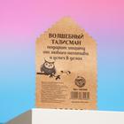 Открытка со значком «Талисман от сглаза», 2,9 х 3,7 см - Фото 3