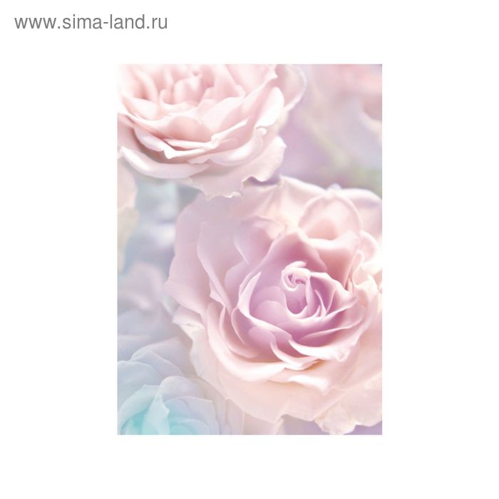 Фотообои "Розовые розы" 21-0146-FR (из 2-х листов), 2,00х2,8 м - Фото 1