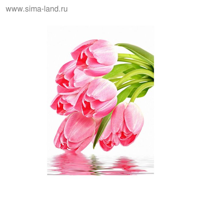 Фотообои "Тюльпаны над водой" 21-0013-FW (из 2-х листов), 2,00х2,8 м - Фото 1