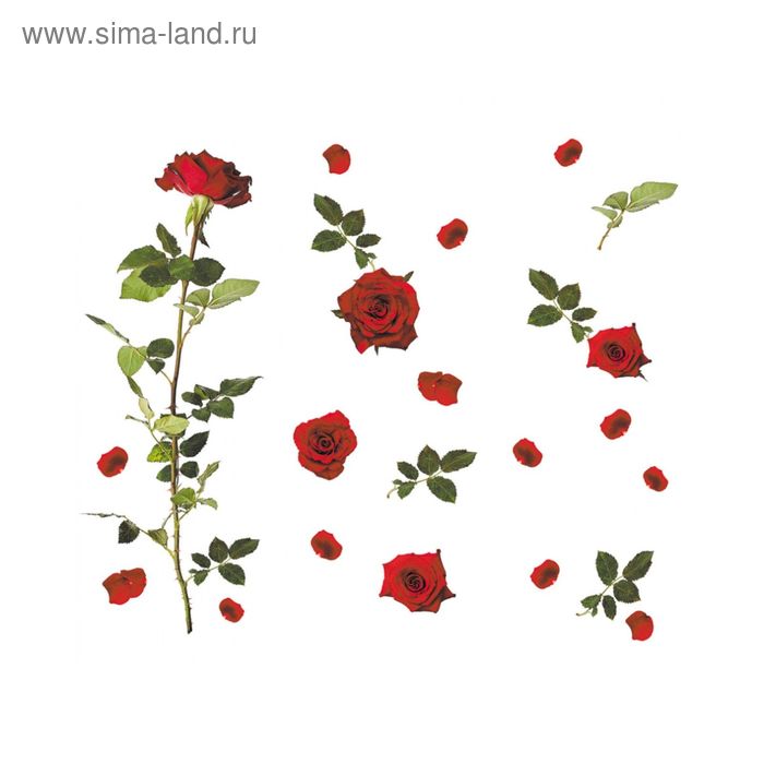 Фотообои "Китайская роза" 15-0488-FR (из 3-х листов), 3,00х2,8 м - Фото 1