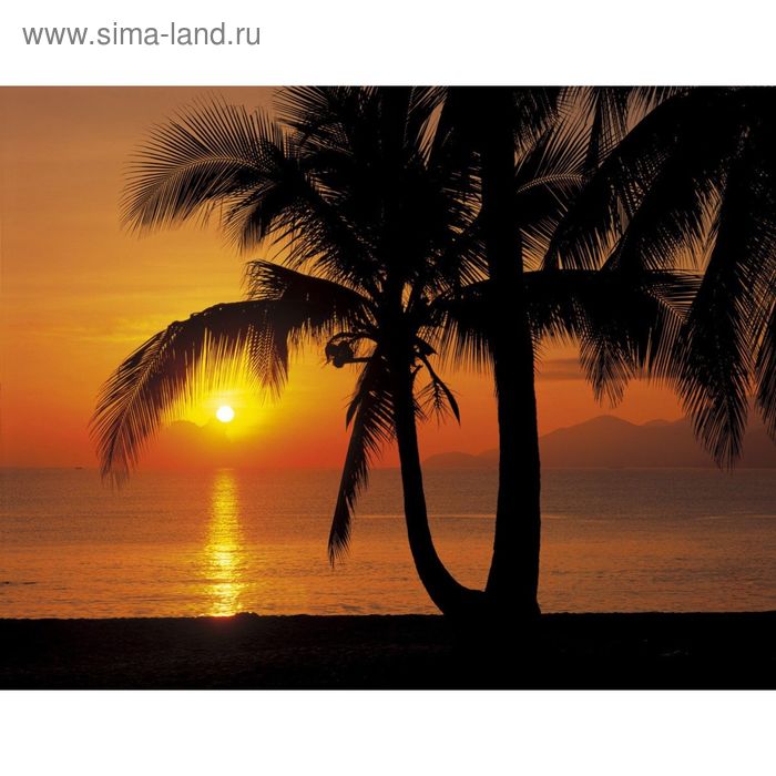 Фотообои Komar 8-255 Закат, пальма, море 3,68x2,54 м (состоит из 8 частей) - Фото 1