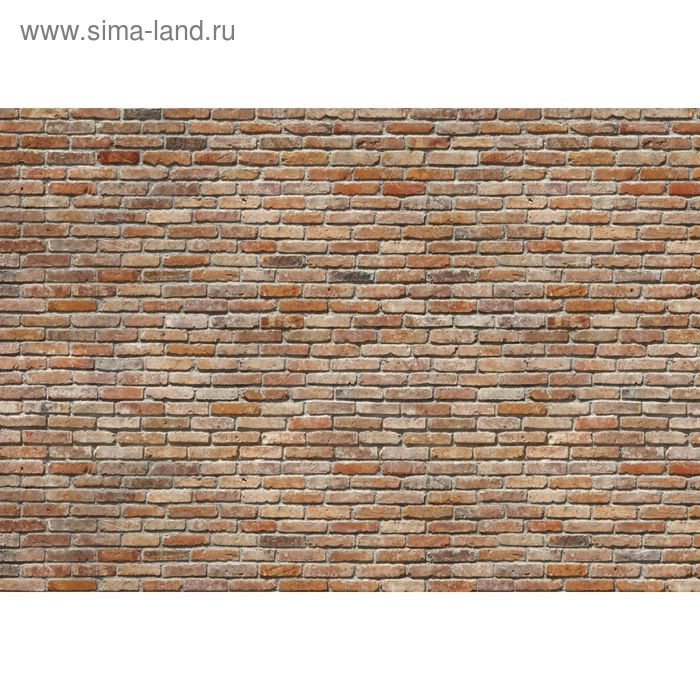 Фотообои Komar 8-741 Кирпичная стена 3,68x2,54 м (состоит из 8 частей) - Фото 1