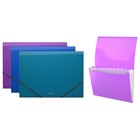 Папка-картотека на резинке А4, 12 отделов, Erich Krause Glance Vivid, корешок 35 мм, толщина пластика 600 мкм, микс - Фото 1