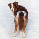 Трусы для собак многоразовые OSSO ABSORB, размер XL - фото 9759216