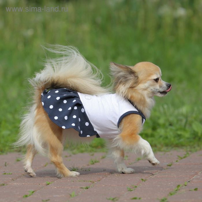 Платье OSSO для собак «Маленькая кокетка», размер 20, микс цветов - Фото 1