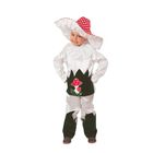 Карнавальный костюм «Грибок», текстиль, (куртка, брюки, шляпа), размер 28, рост 110 см - фото 3227310