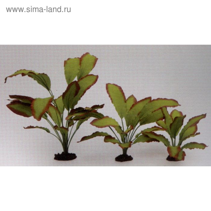 Растение шелковое PRIME Эхинодорус Озирис 13см - Фото 1