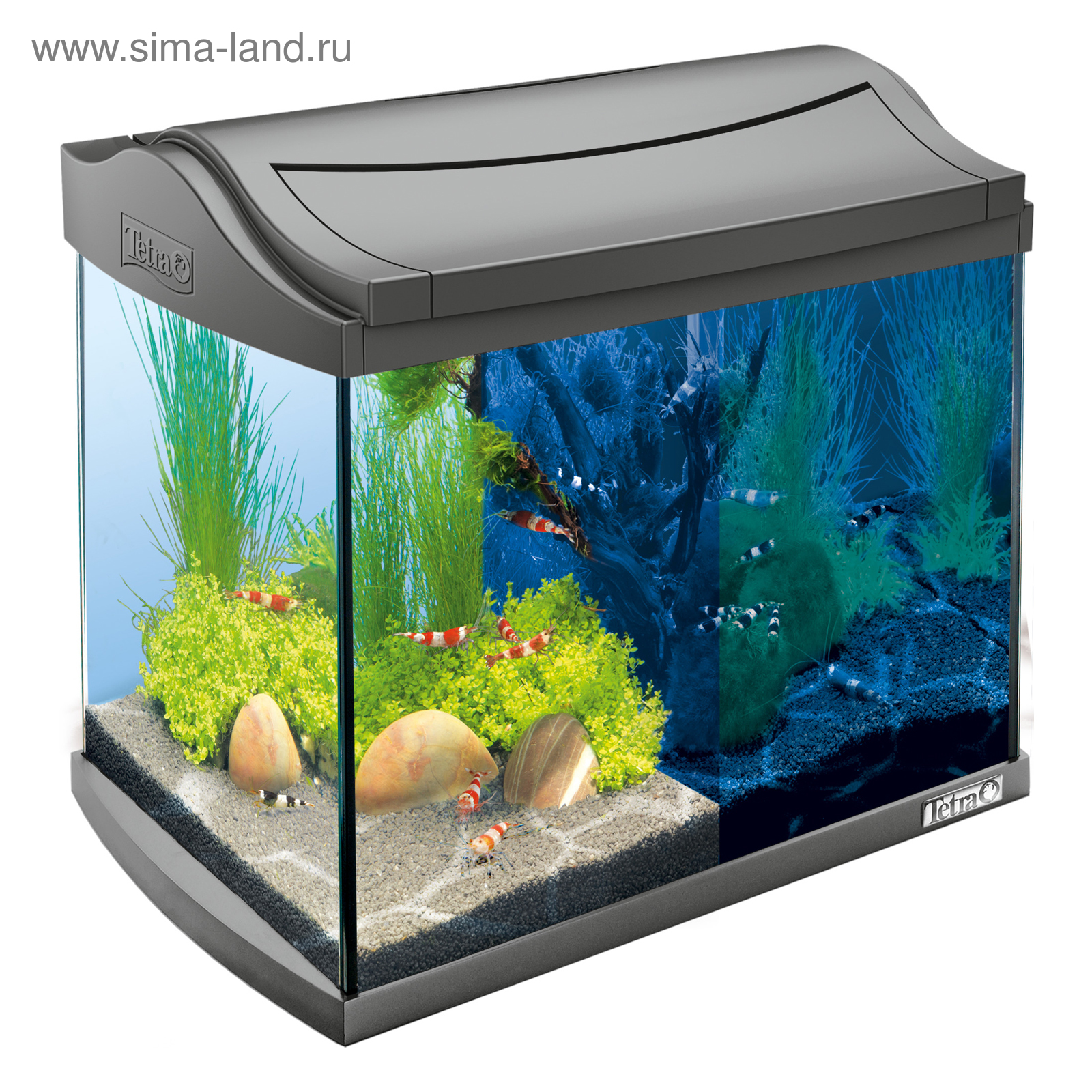 Аквариум Tetra AquaArt LED Shrimp 20л для креветок (2307465) - Купить по  цене от 7 636.00 руб. | Интернет магазин SIMA-LAND.RU