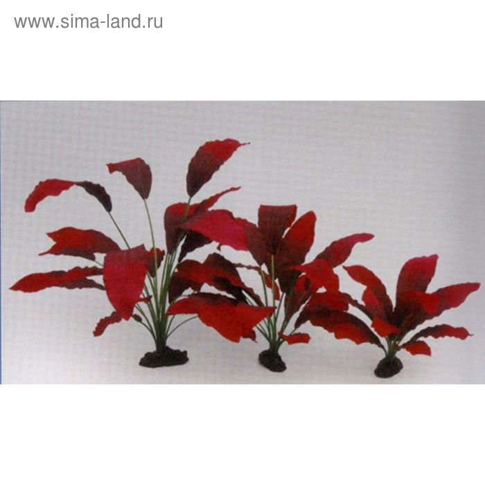 Растение шелковое PRIME Эхинодорус Кляйн Бер 40см - Фото 1