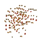 Корм TetraMin Granules для рыб, гранулы, 10 л., 4.2 кг - Фото 4