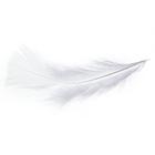 Игра для пар «50 оттенков страсти. Компактная версия», 50 карт, перо, 18+ - Фото 5