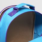 Рюкзак школьный, 2 отдела на молниях, 2 наружных кармана, цвет голубой/фиолетовый - Фото 5