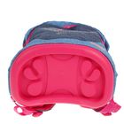 Рюкзак школьный с эргономичной спинкой Belmil, 40 х 30 х 21 см, Leisure Love - Фото 3